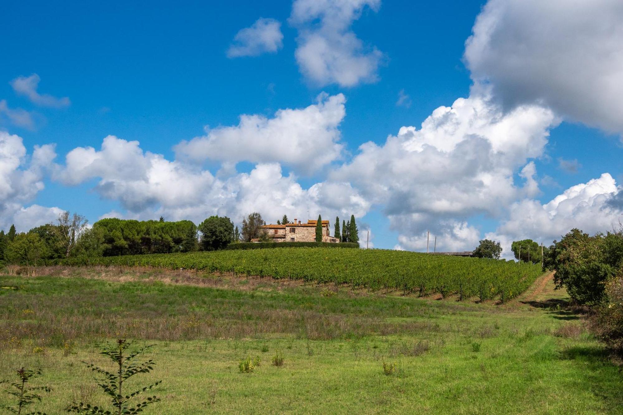 Agriturismo Il Chiassale Rapolano Terme Esterno foto